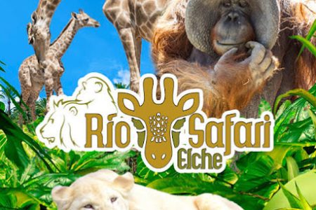 Rio Safari Elche