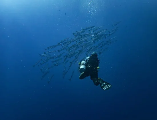Submarinismo Morro de Toix