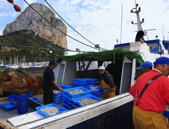 La Cofradía de Pescadores