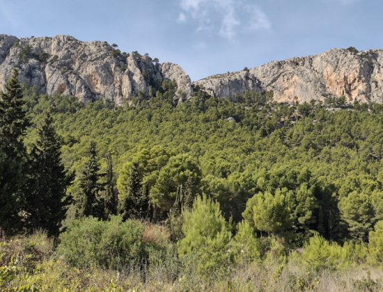 Sierra de Oltà – Vías