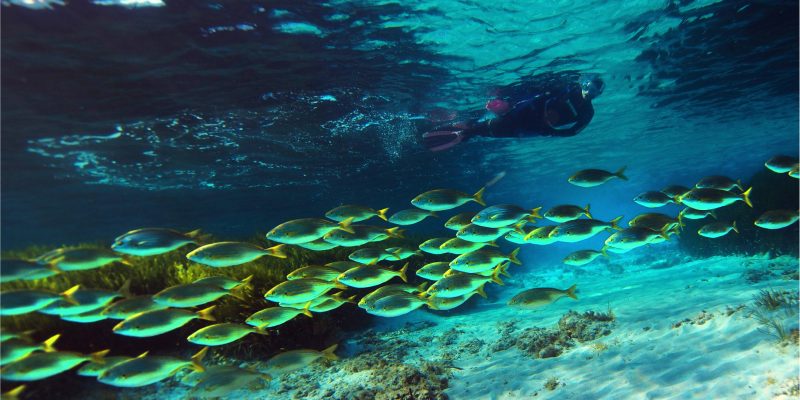 Submarinismo Mascarat